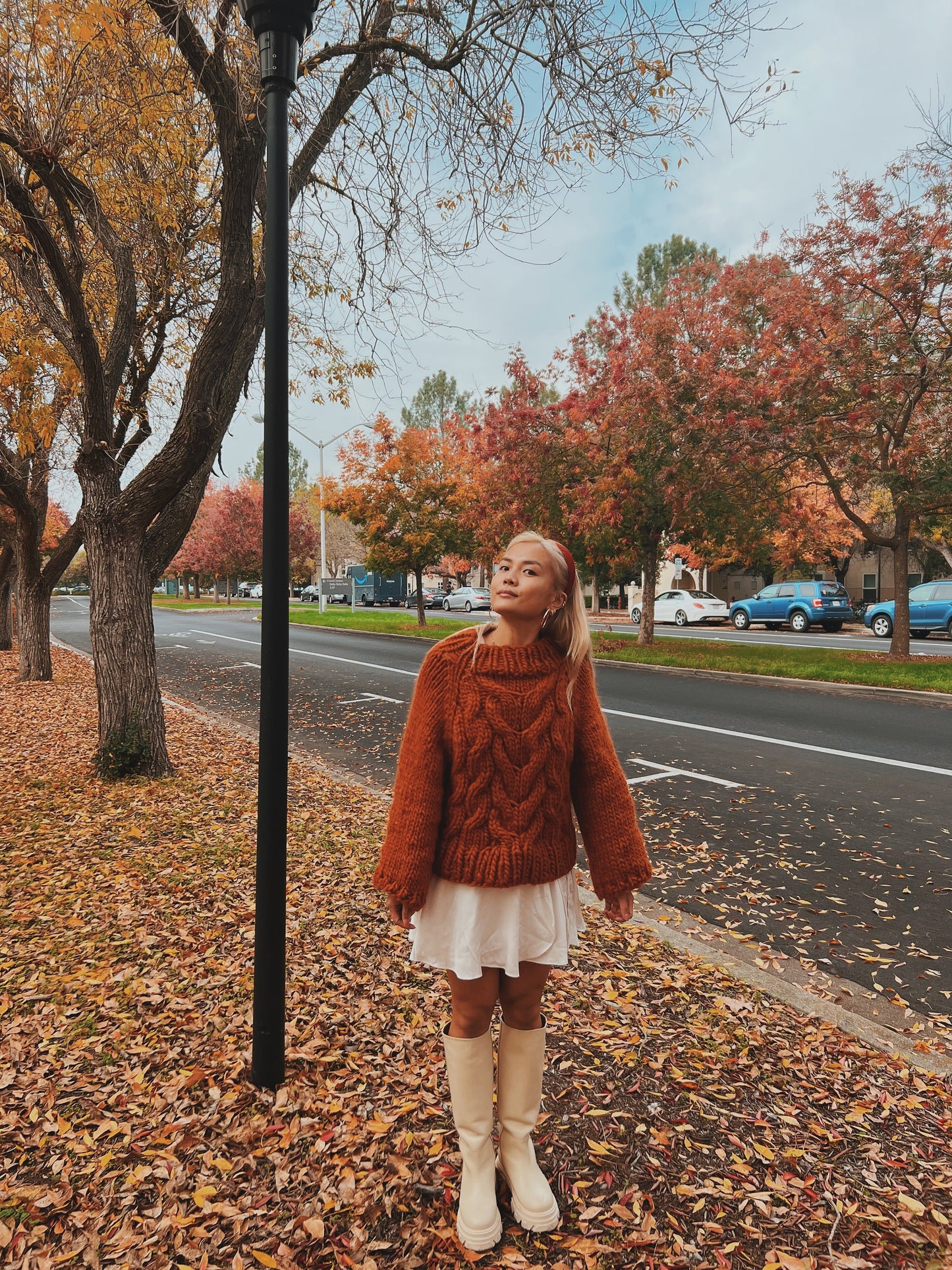 Braidy Bunch Sweater Pattern