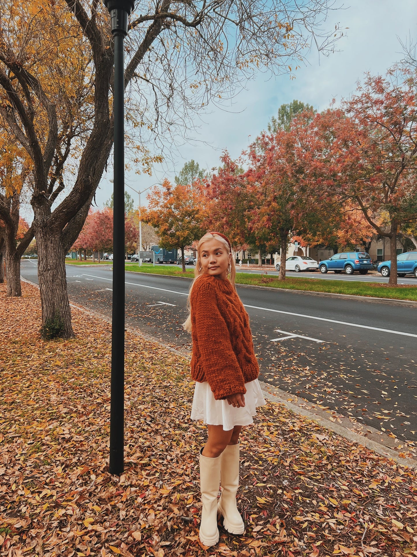 Braidy Bunch Sweater Pattern